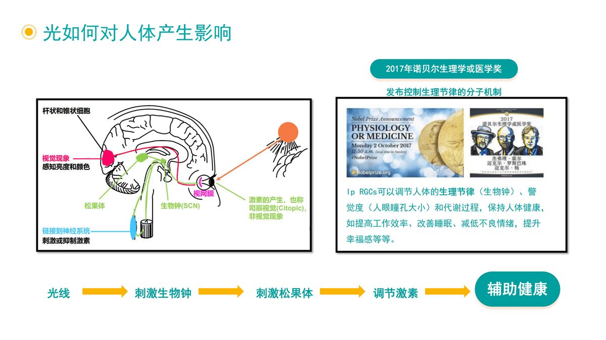 光如何對人體產(chǎn)生影響-1.jpg
